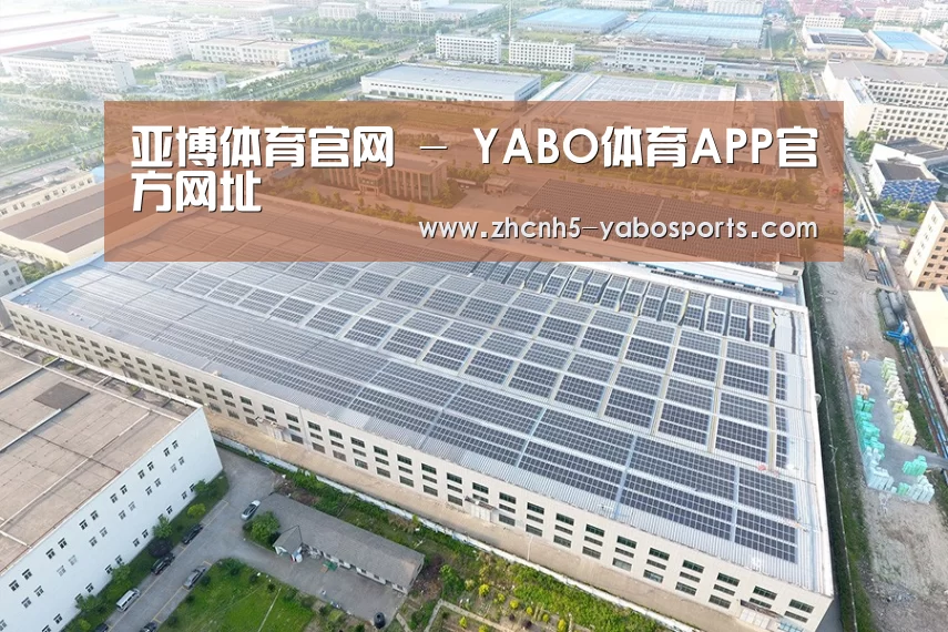 案例展示一