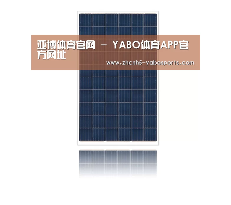 产品名称一