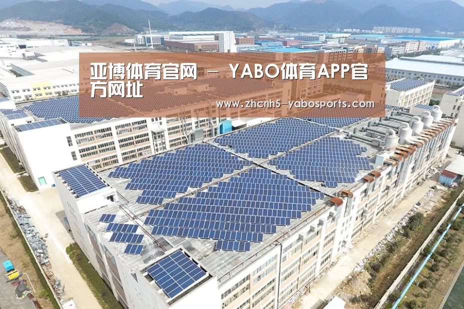 案例展示三