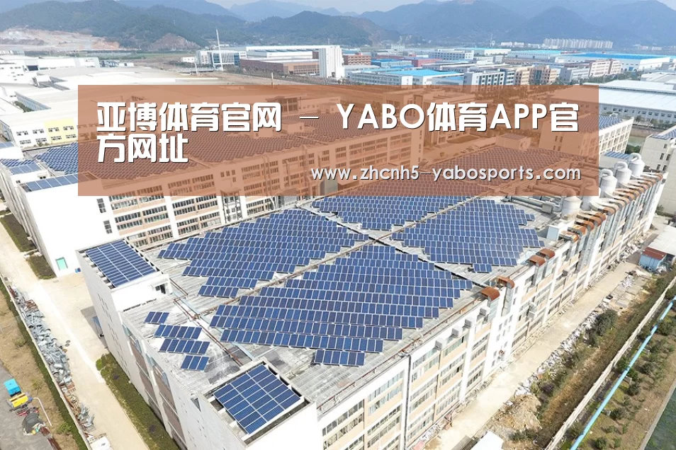 案例展示二