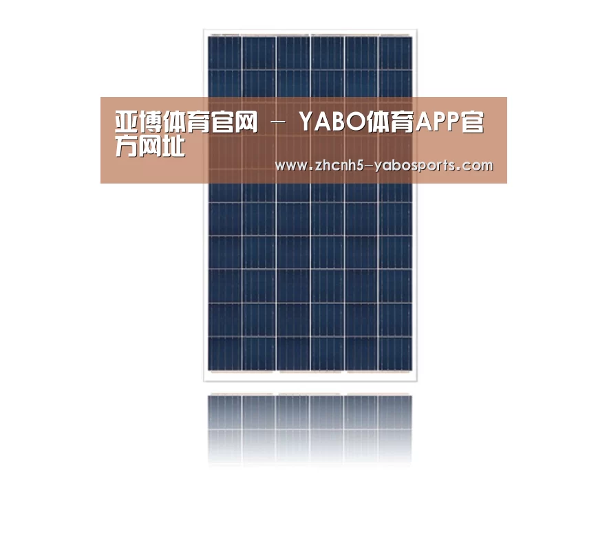 产品名称一