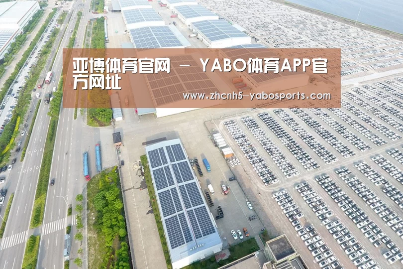 案例展示二
