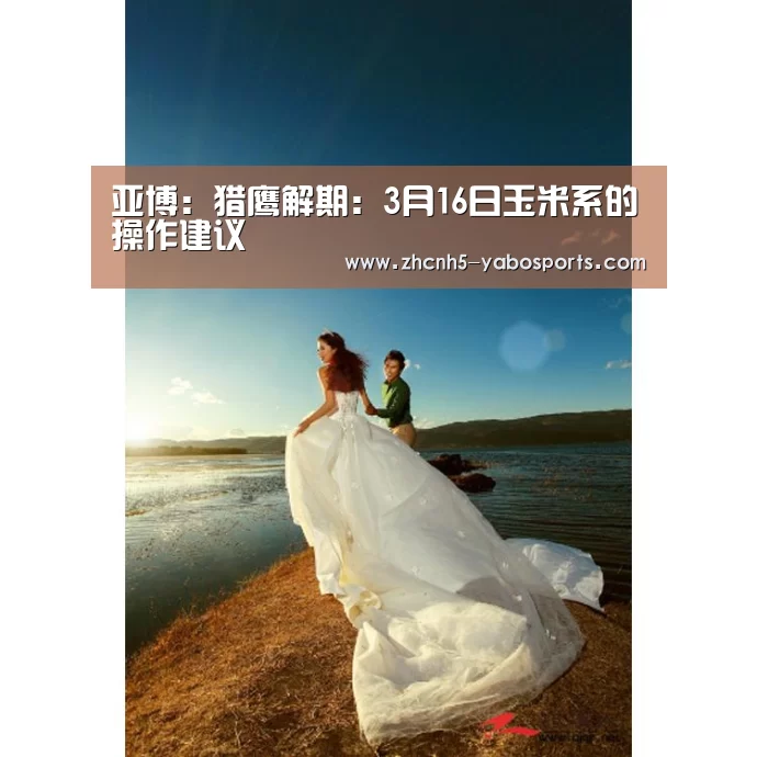 亚博:猎鹰解期:3月16日玉米系的操作建